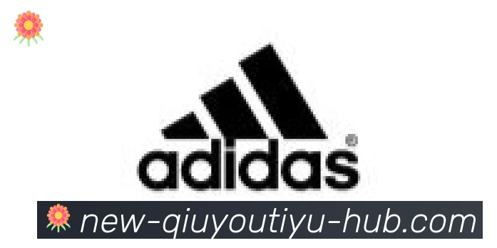 球友体育直播合作伙伴
